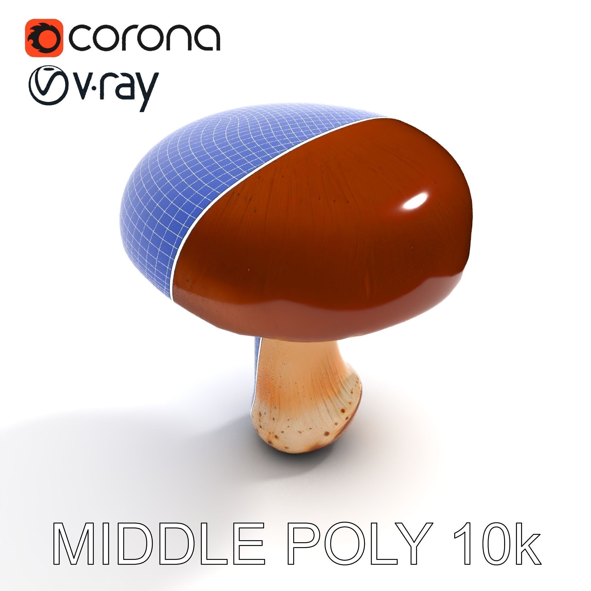 Realistic Mushroom Model Pack for D Environments and Games Low-poly 3D model_6