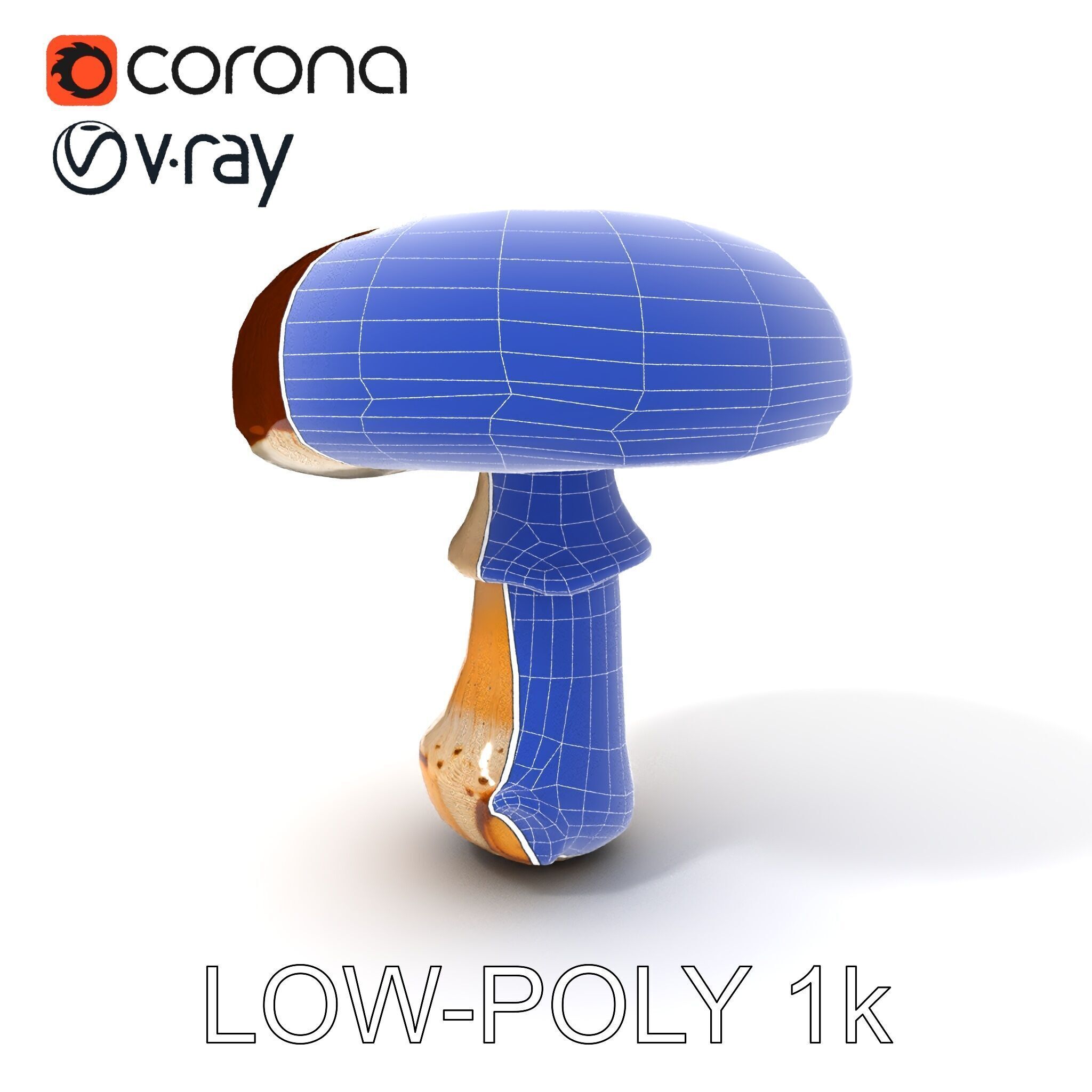 Realistic Mushroom Model Pack for D Environments and Games Low-poly 3D model_22
