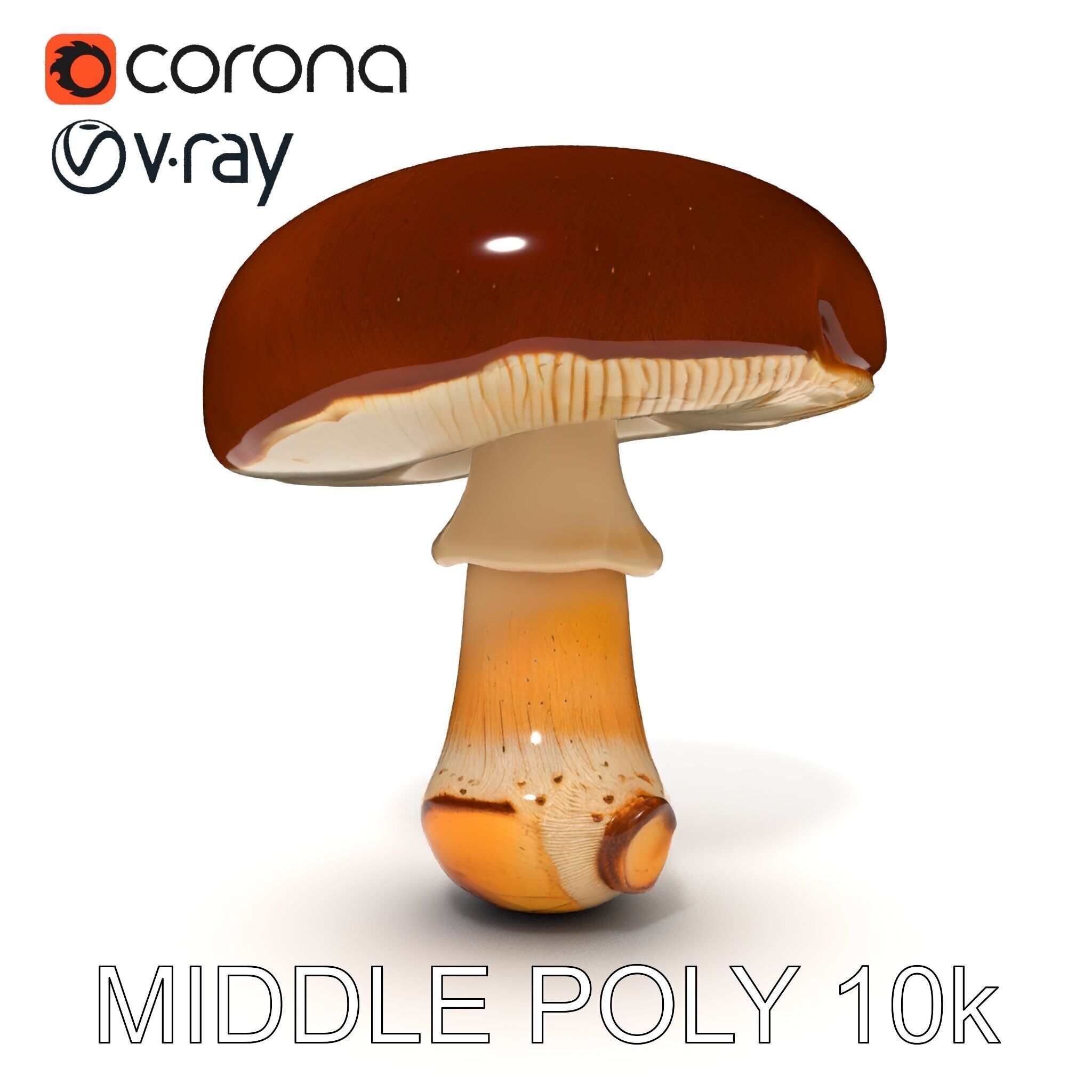 Realistic Mushroom Model Pack for D Environments and Games Low-poly 3D model_8
