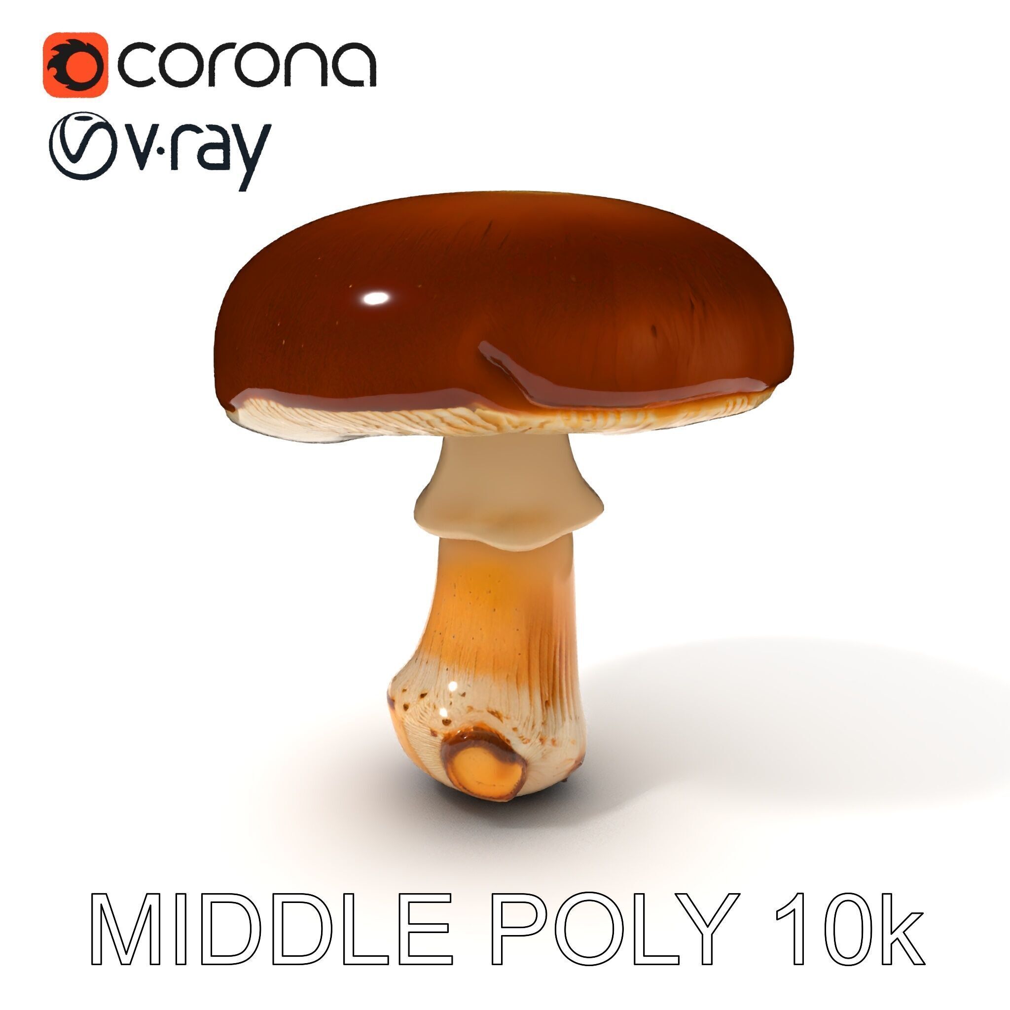Realistic Mushroom Model Pack for D Environments and Games Low-poly 3D model_32