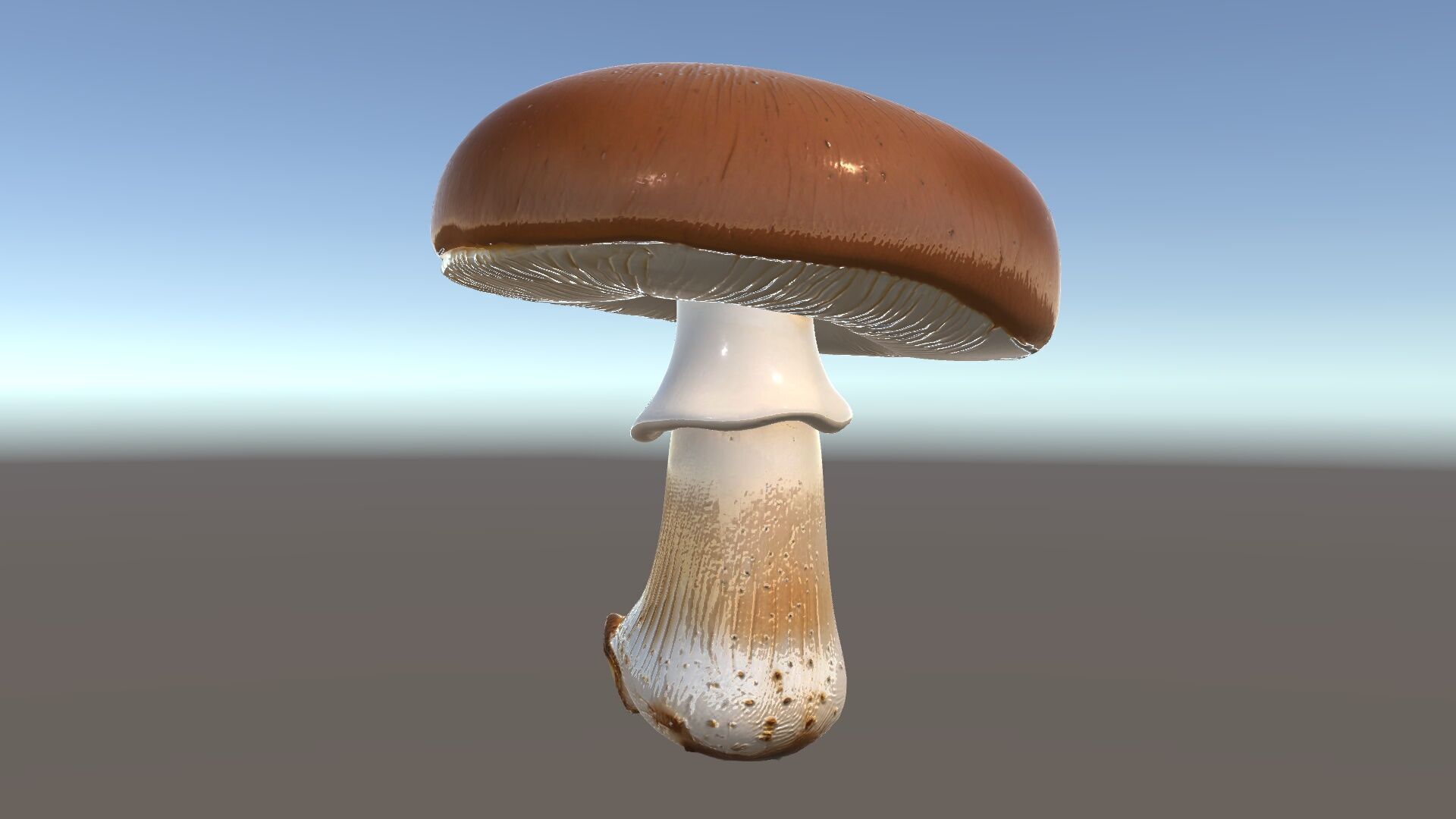 Realistic Mushroom Model Pack for D Environments and Games Low-poly 3D model_30