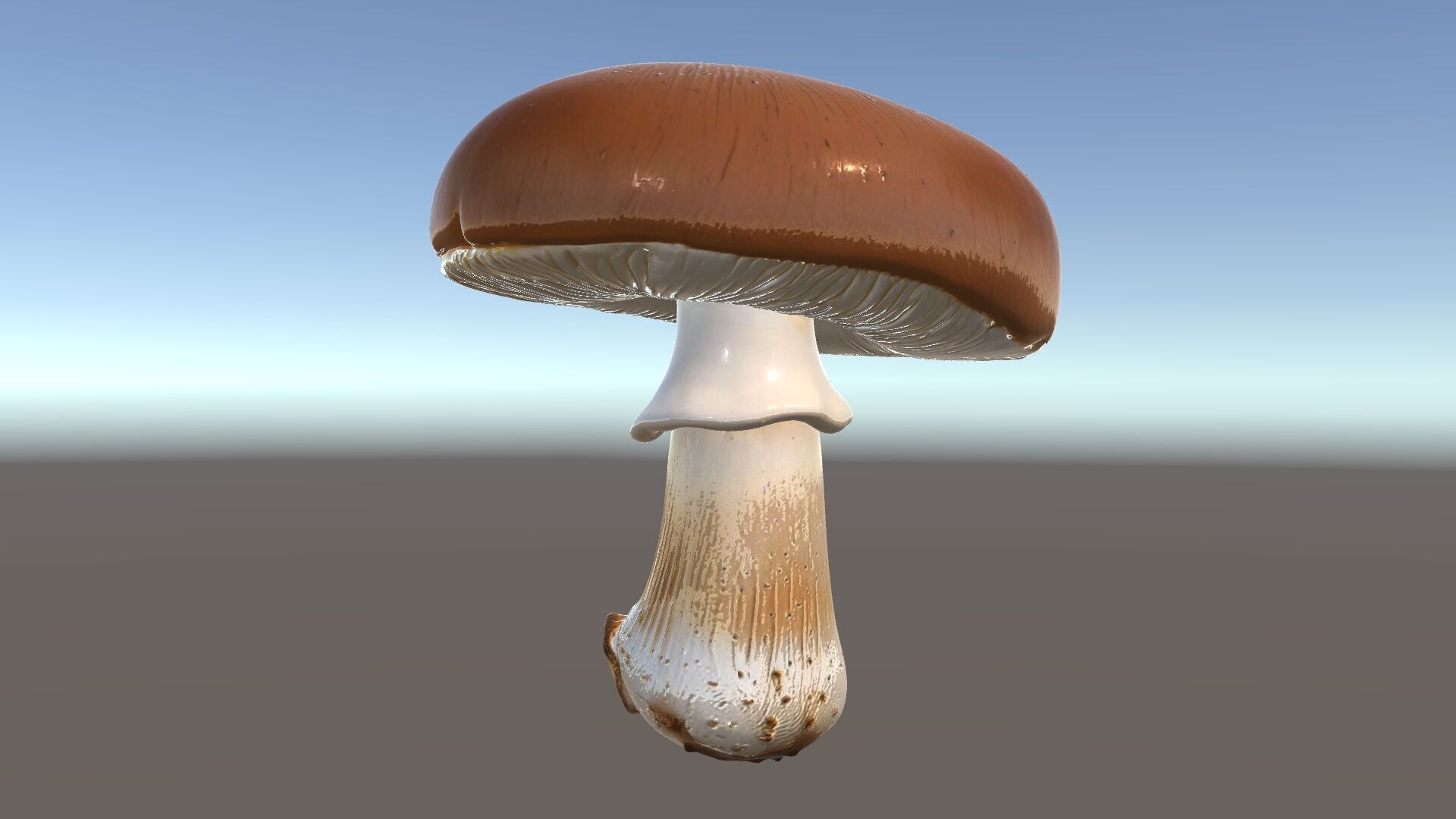 Realistic Mushroom Model Pack for D Environments and Games Low-poly 3D model_5