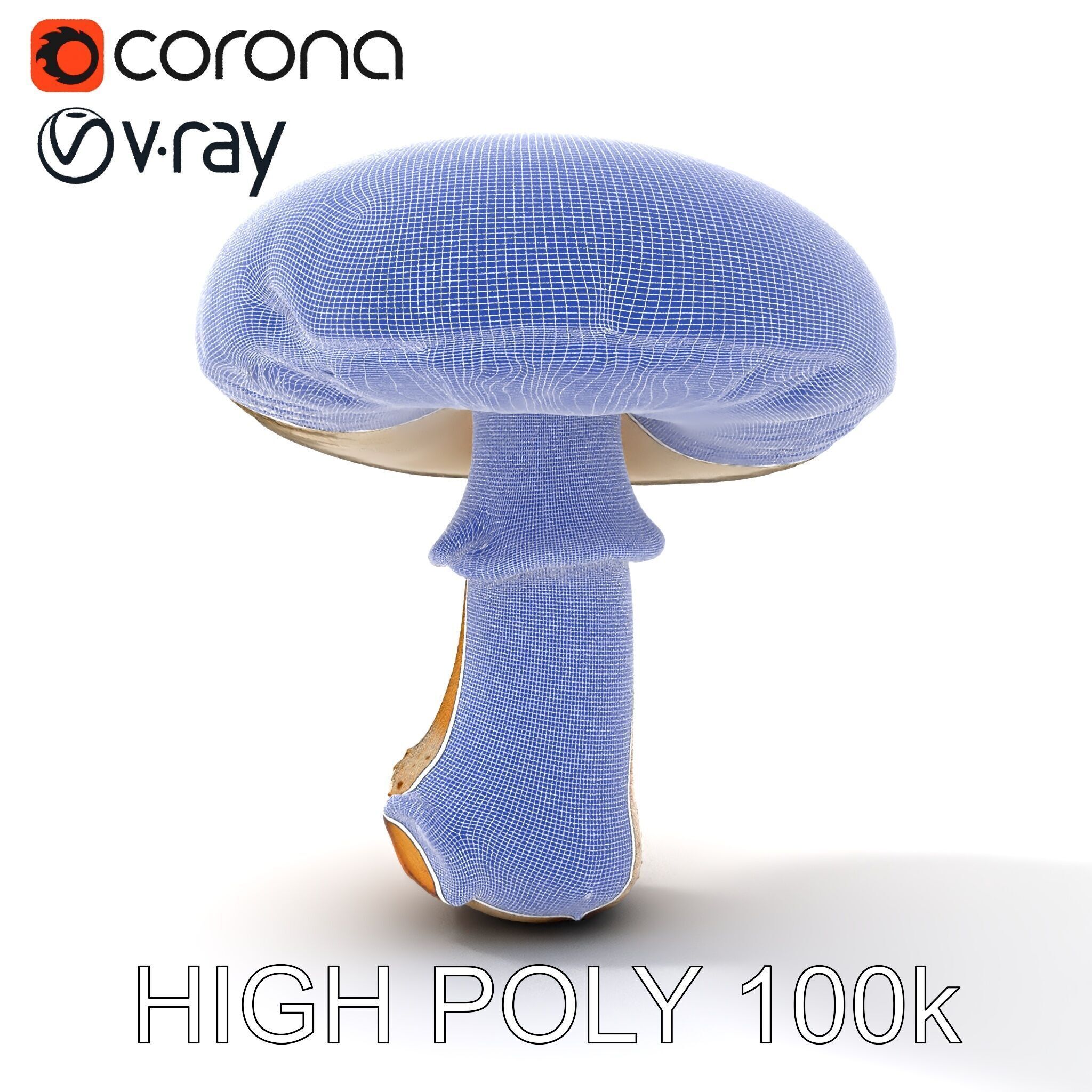 Realistic Mushroom Model Pack for D Environments and Games Low-poly 3D model_34