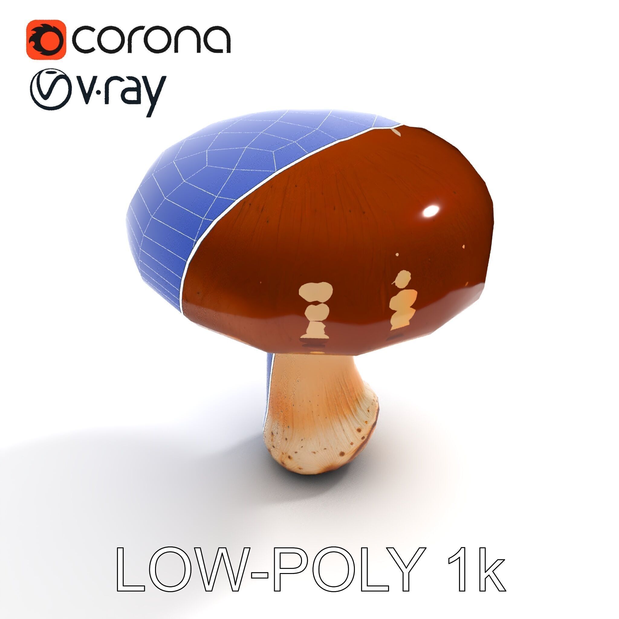 Realistic Mushroom Model Pack for D Environments and Games Low-poly 3D model_28