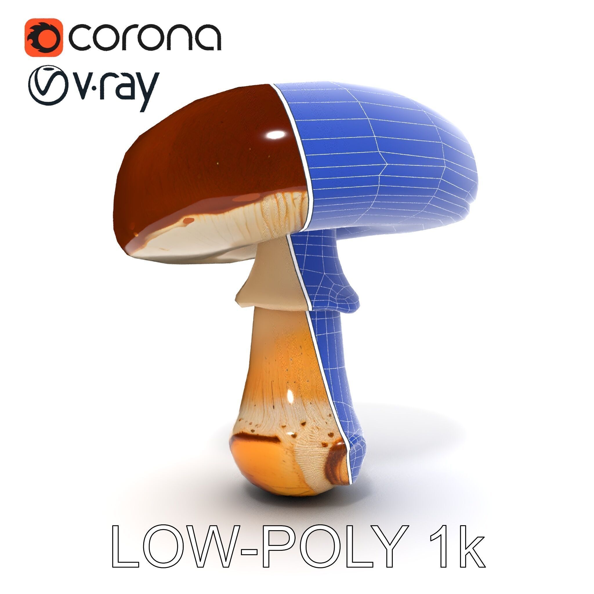 Realistic Mushroom Model Pack for D Environments and Games Low-poly 3D model_12