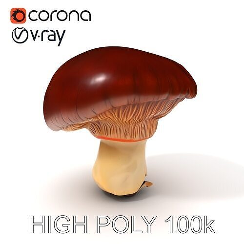 Realistic Mushroom Model Pack for Game and Animation Projects Low-poly 3D model