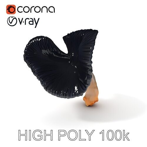 Dark Mushroom Model Pack for Realistic Environments Low-poly 3D model