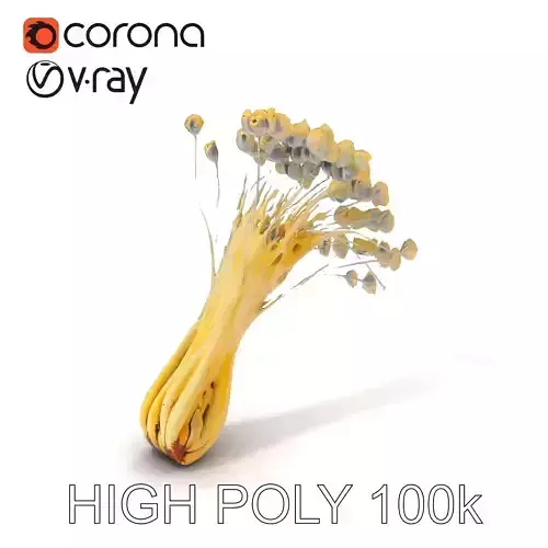 Mushroom Cluster Model Pack for D Rendering and Game Engines