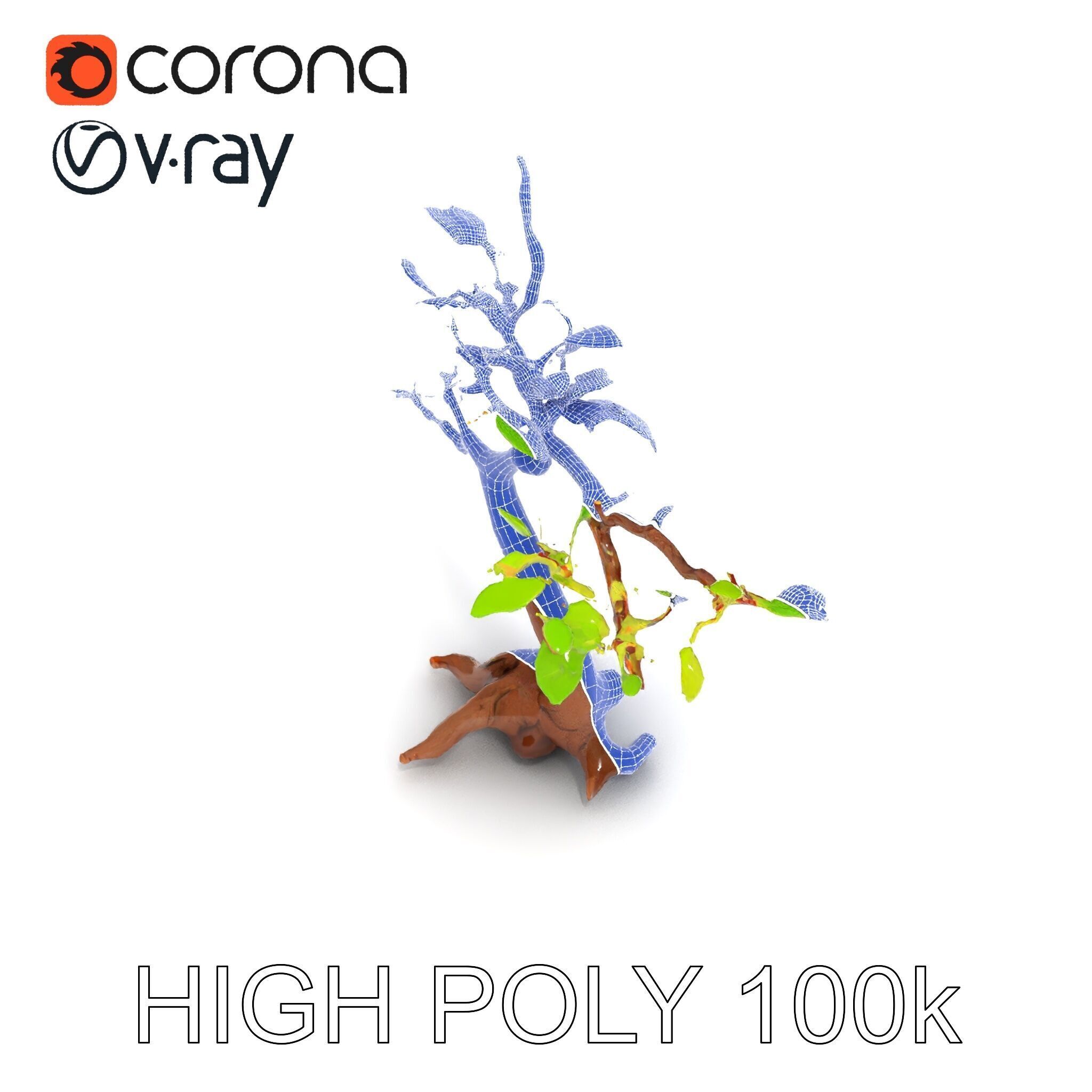 Bonsai Tree Model Pack with PBR Textures for Realistic Rendering Low-poly 3D model_25
