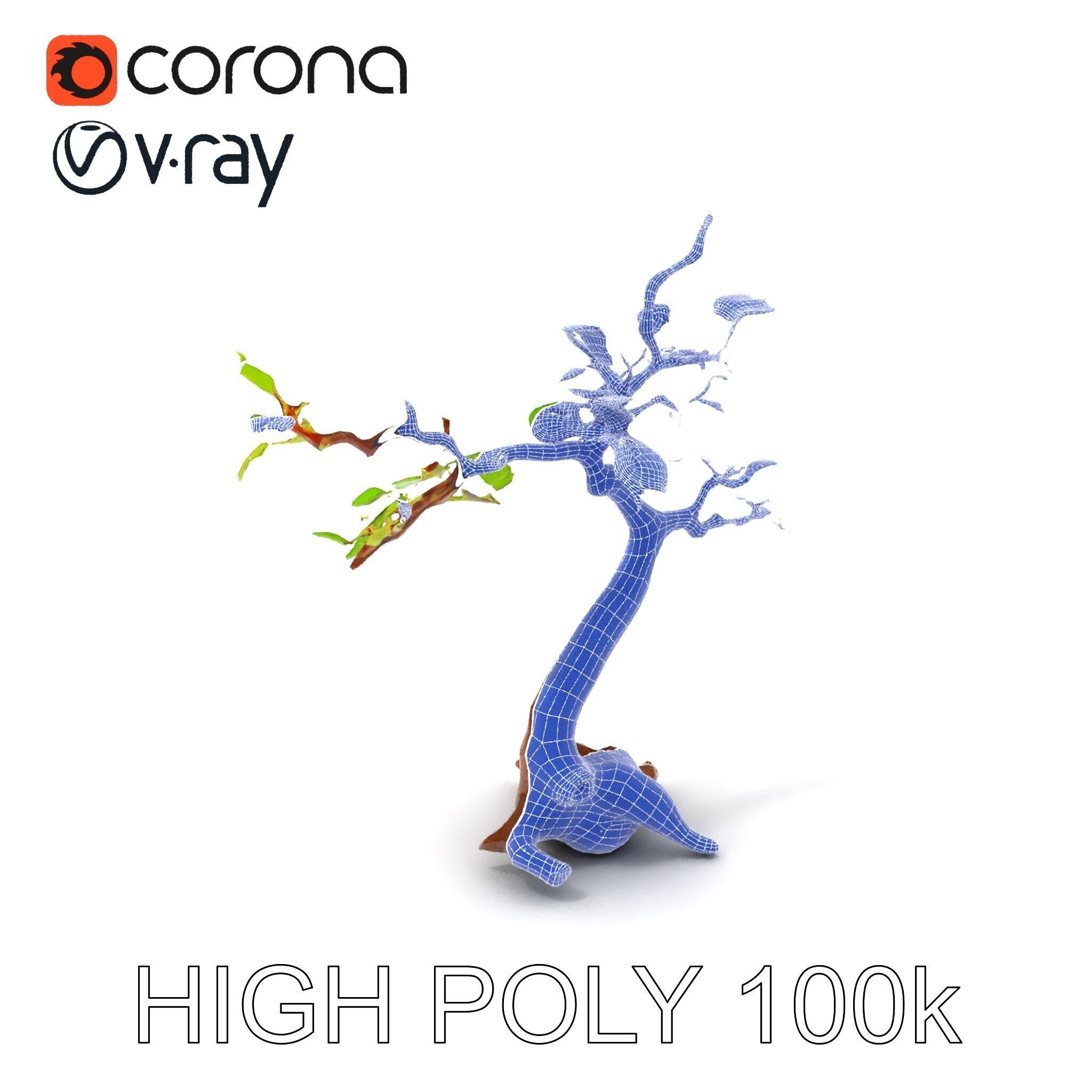 Bonsai Tree Model Pack with PBR Textures for Realistic Rendering Low-poly 3D model_23