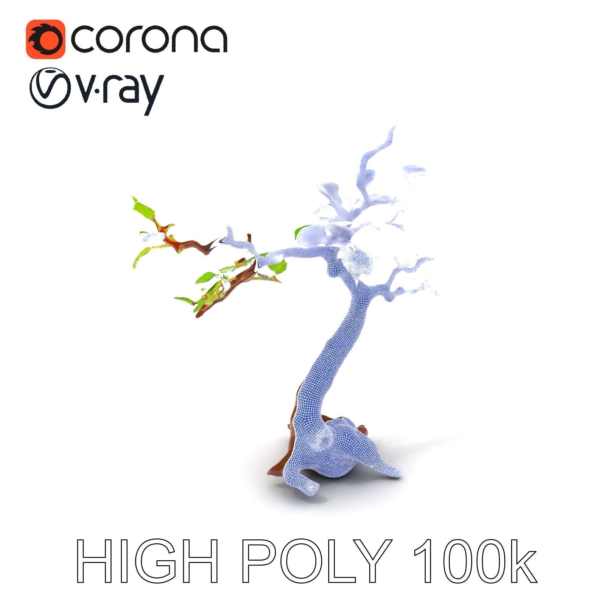 Bonsai Tree Model Pack with PBR Textures for Realistic Rendering Low-poly 3D model_3