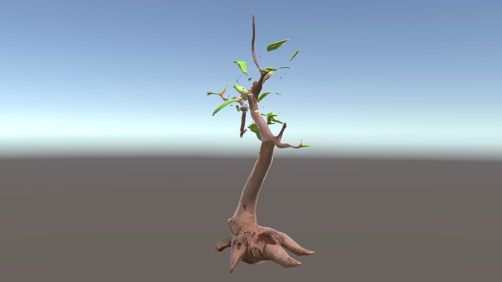 Bonsai Tree Model Pack with PBR Textures for Realistic Rendering Low-poly 3D model_16