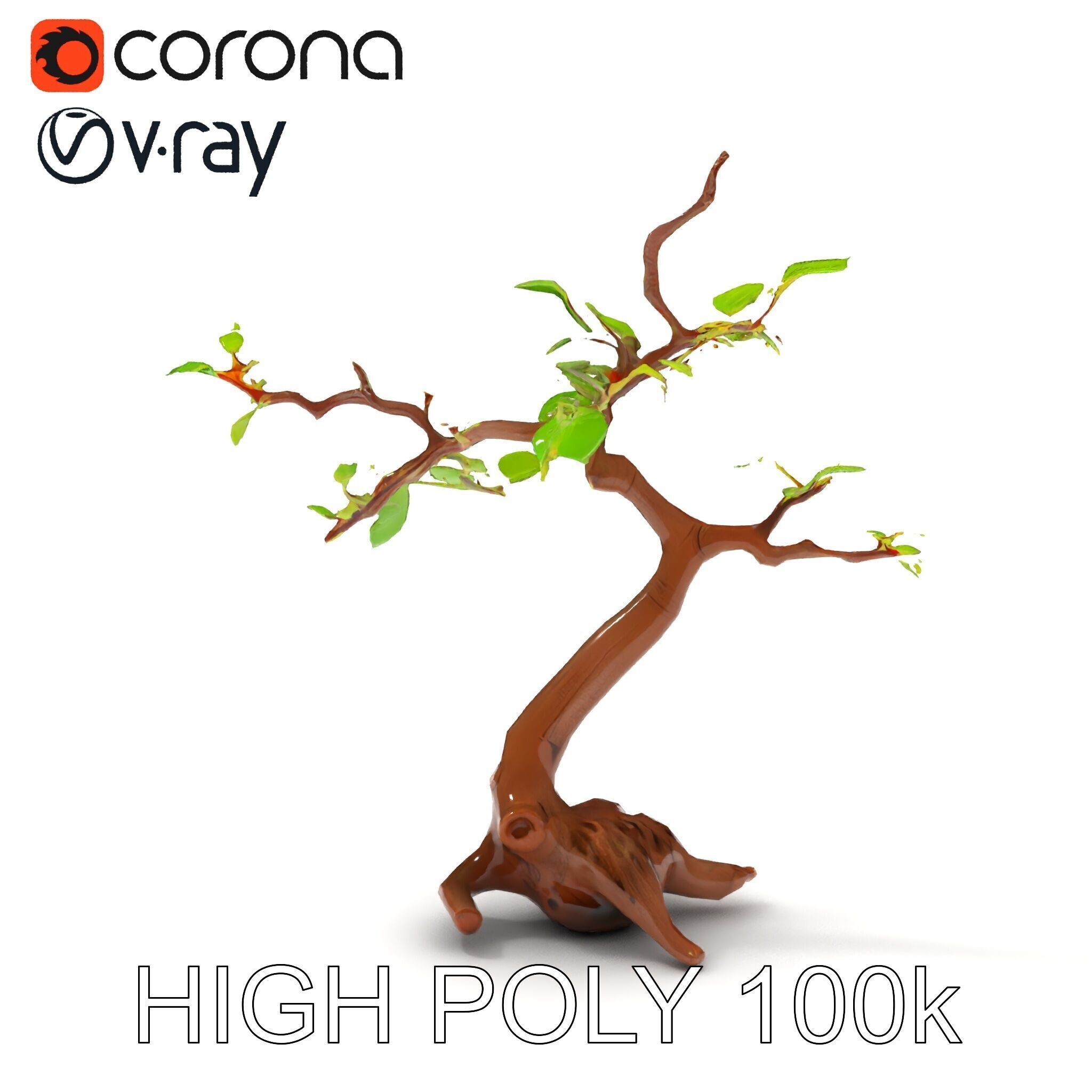 Bonsai Tree Model Pack with PBR Textures for Realistic Rendering Low-poly 3D model_9