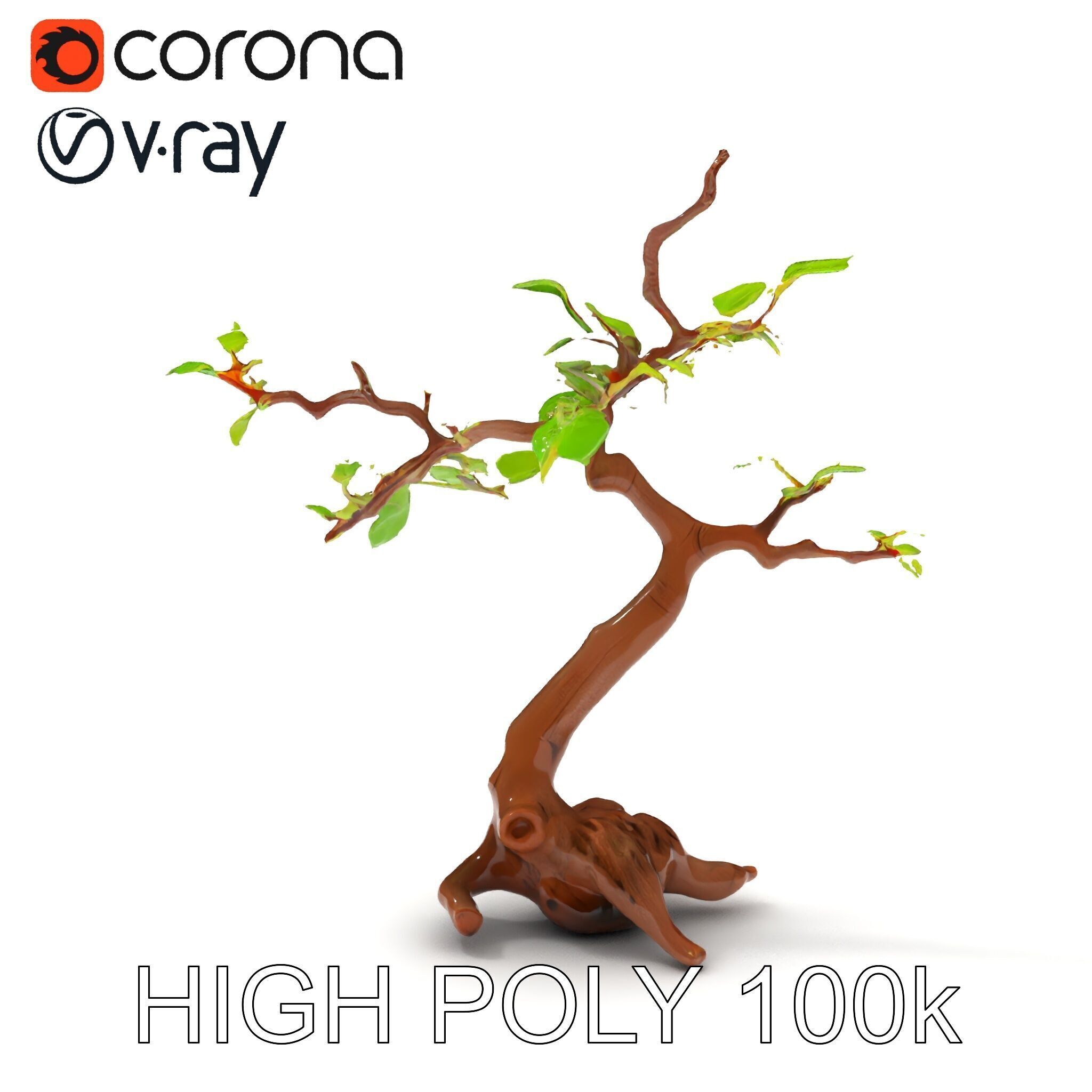 Bonsai Tree Model Pack with PBR Textures for Realistic Rendering Low-poly 3D model_22