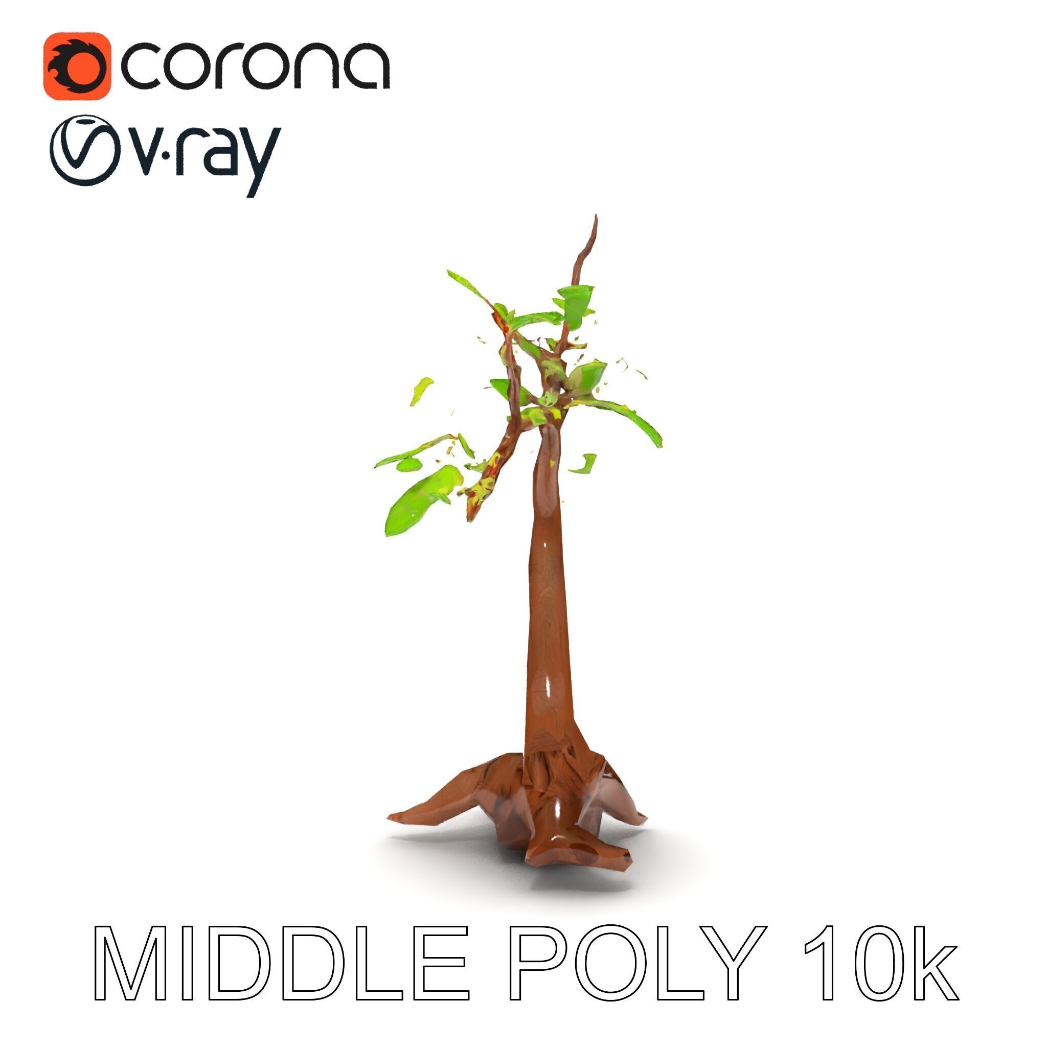 Bonsai Tree Model Pack with PBR Textures for Realistic Rendering Low-poly 3D model_32