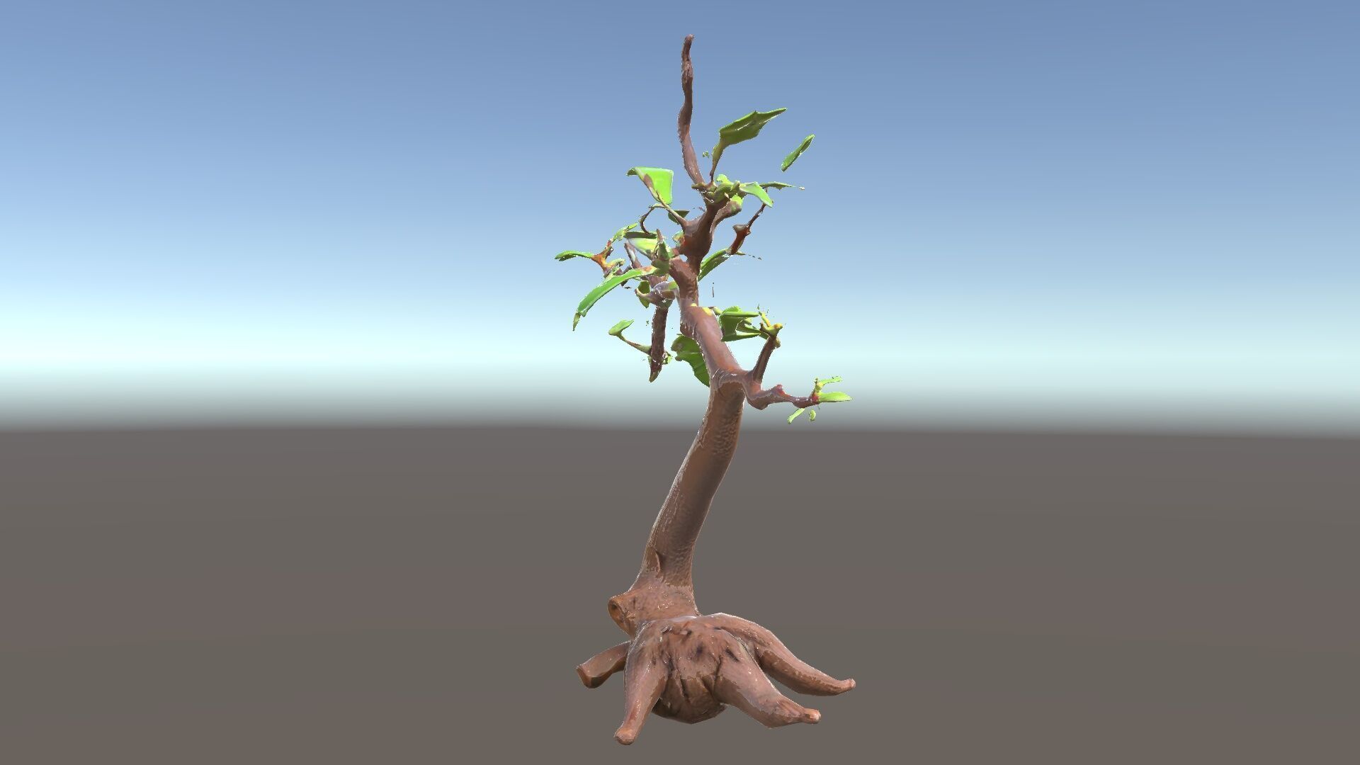 Bonsai Tree Model Pack with PBR Textures for Realistic Rendering Low-poly 3D model_12