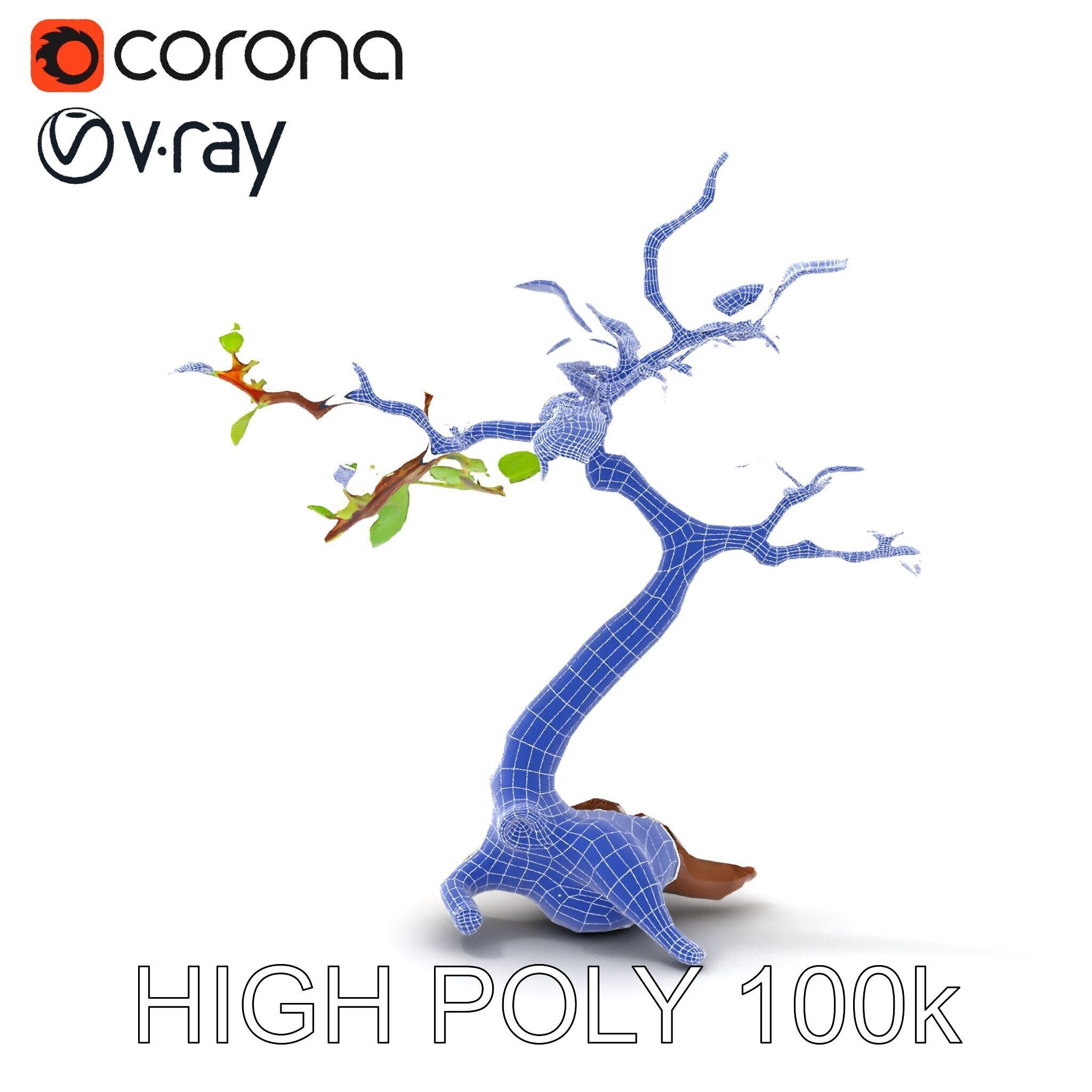 Bonsai Tree Model Pack with PBR Textures for Realistic Rendering Low-poly 3D model_6