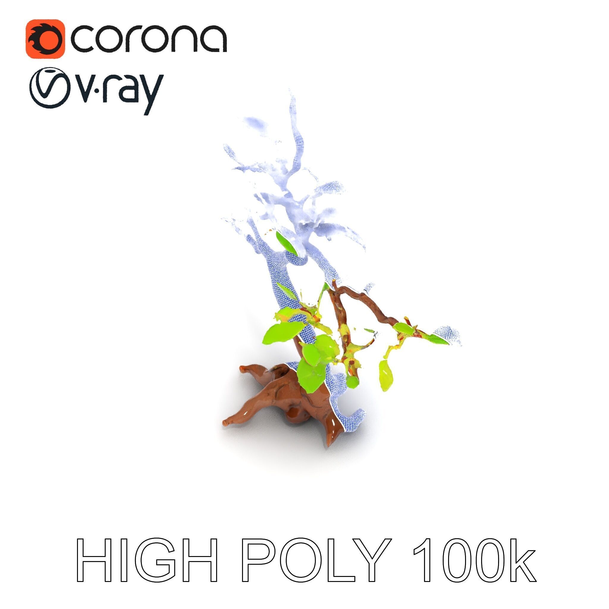 Bonsai Tree Model Pack with PBR Textures for Realistic Rendering Low-poly 3D model_33