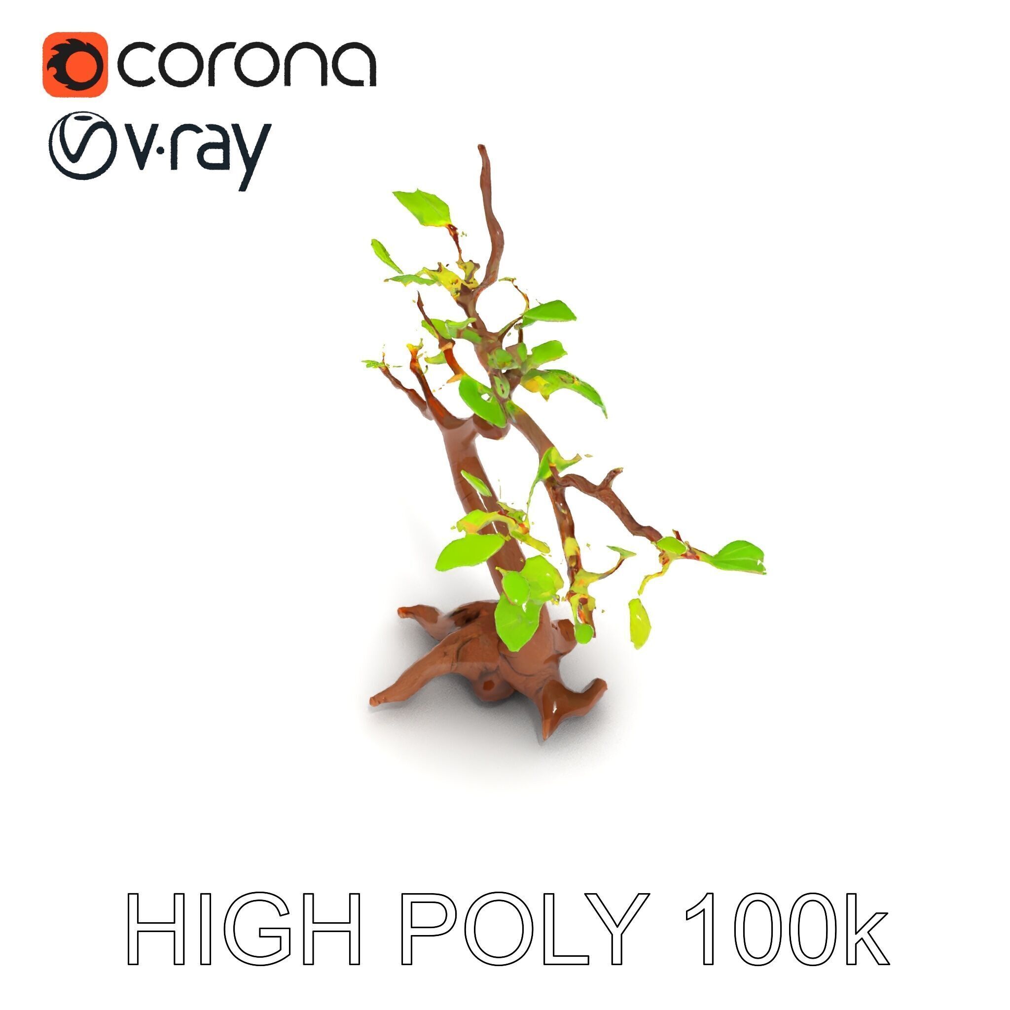 Bonsai Tree Model Pack with PBR Textures for Realistic Rendering Low-poly 3D model_20