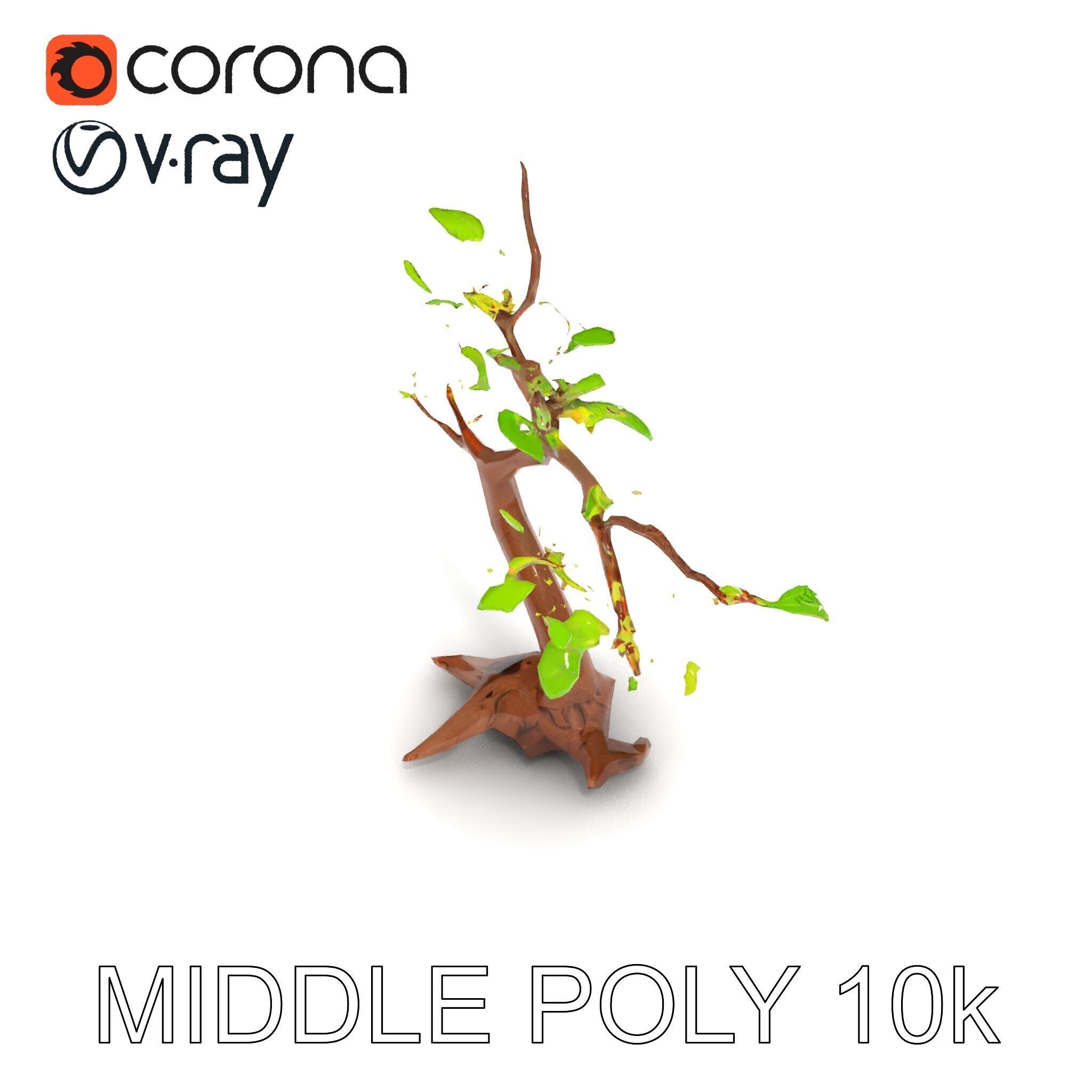 Bonsai Tree Model Pack with PBR Textures for Realistic Rendering Low-poly 3D model_29