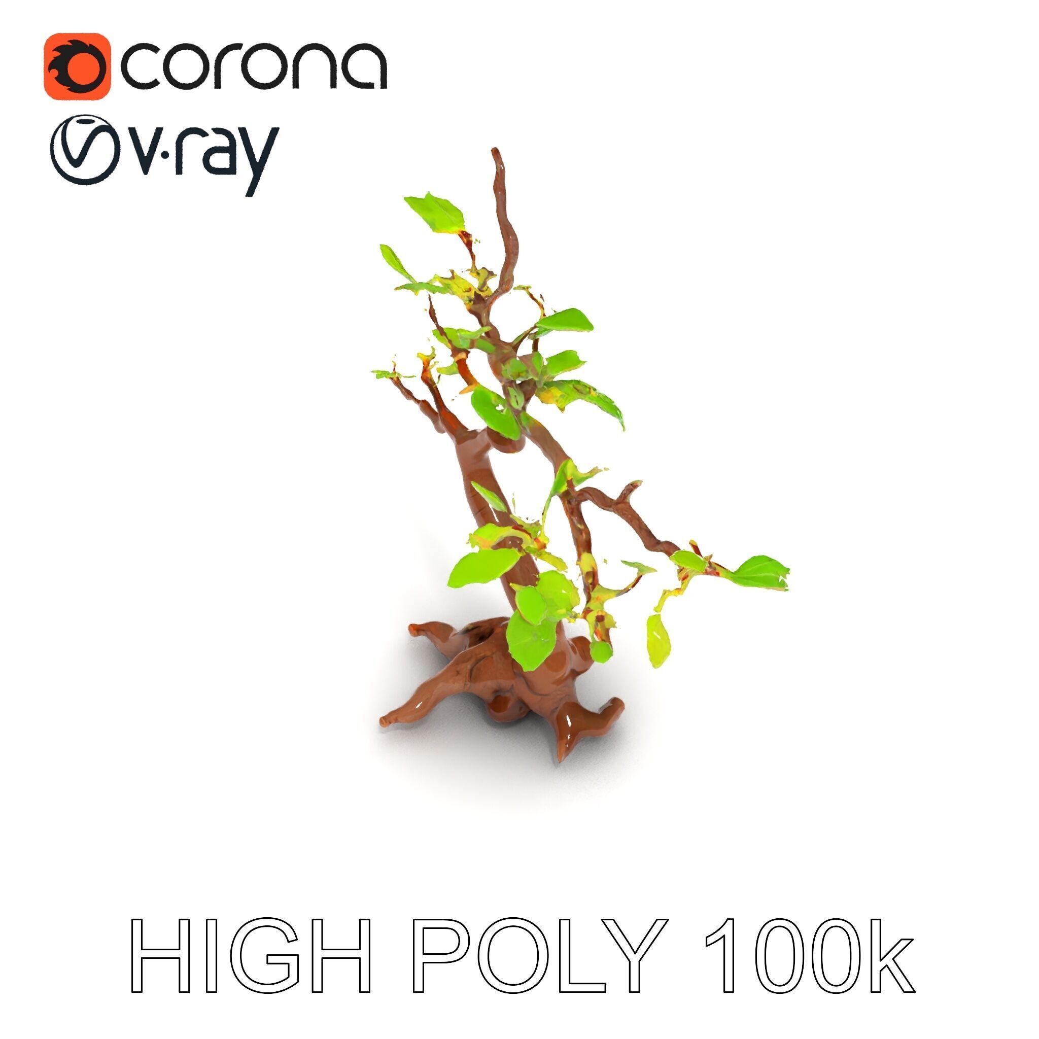Bonsai Tree Model Pack with PBR Textures for Realistic Rendering Low-poly 3D model_19