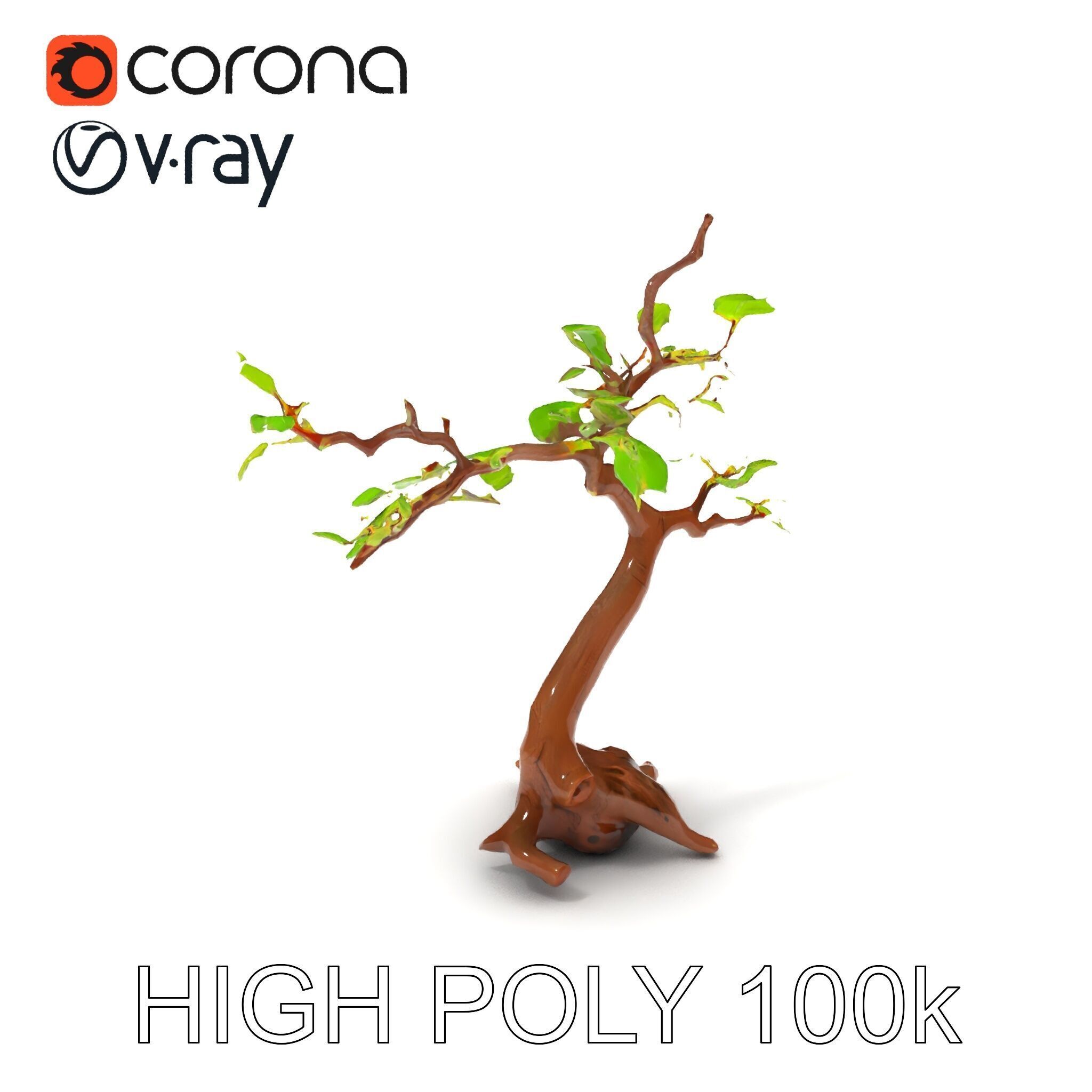 Bonsai Tree Model Pack with PBR Textures for Realistic Rendering Low-poly 3D model_28