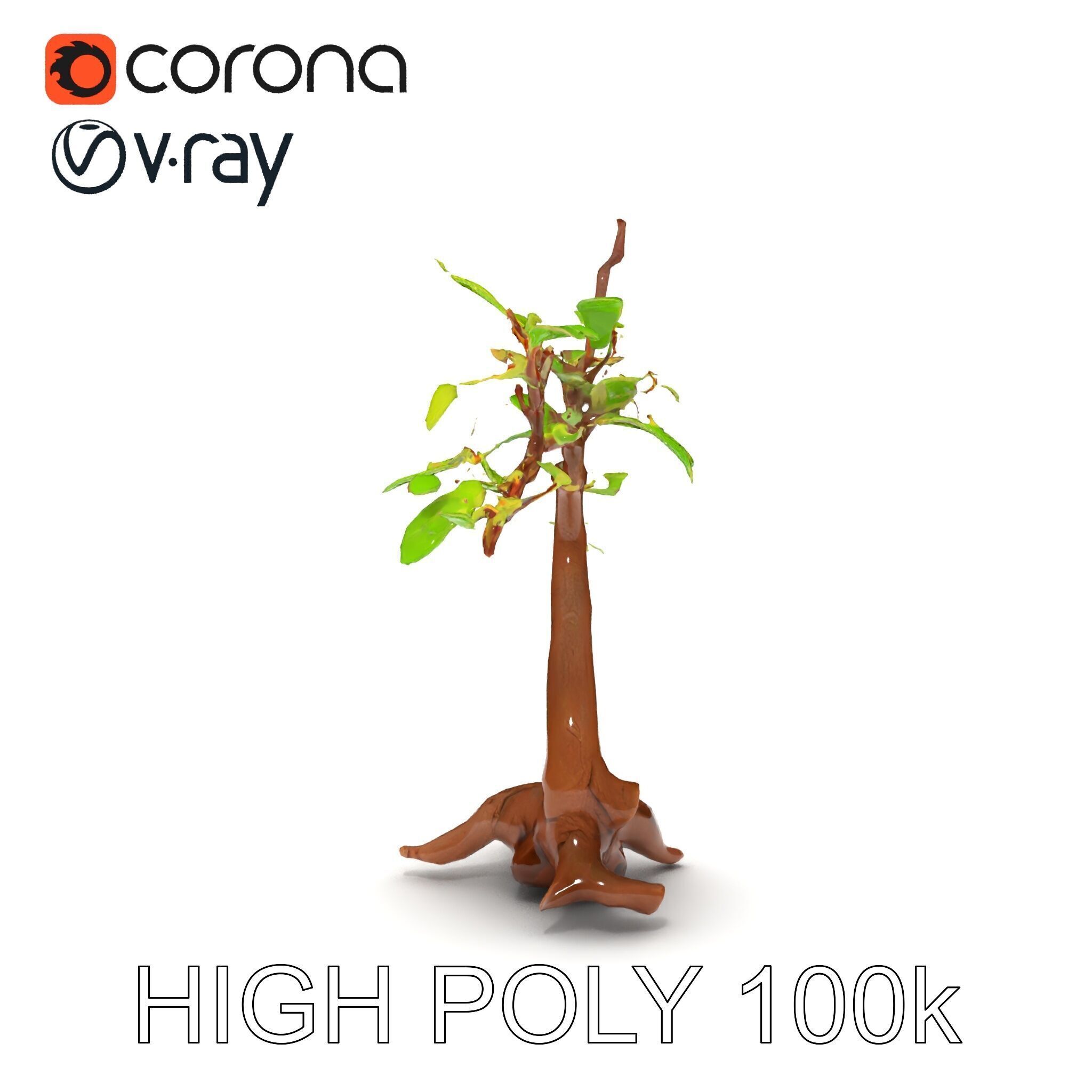 Bonsai Tree Model Pack with PBR Textures for Realistic Rendering Low-poly 3D model_17