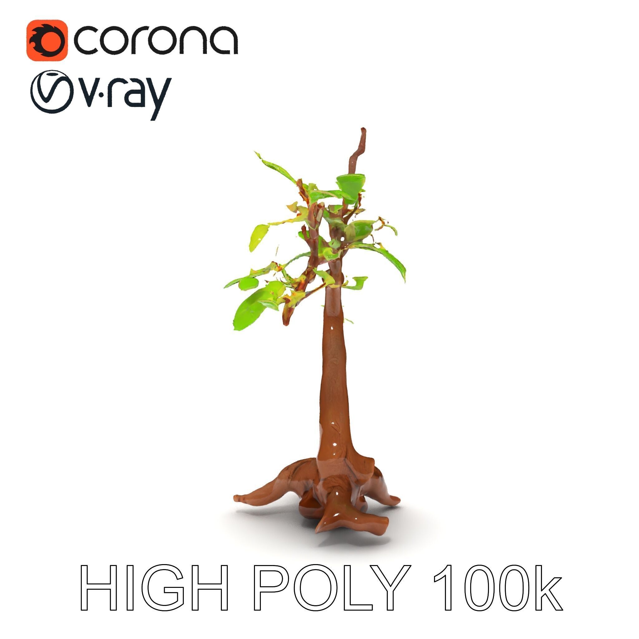 Bonsai Tree Model Pack with PBR Textures for Realistic Rendering Low-poly 3D model_27