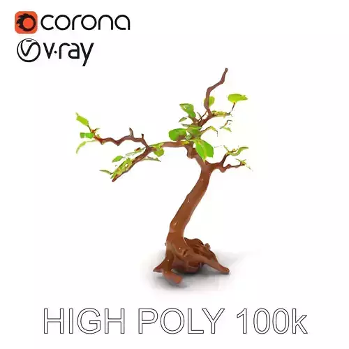 Bonsai Tree Model Pack with PBR Textures for Realistic Rendering