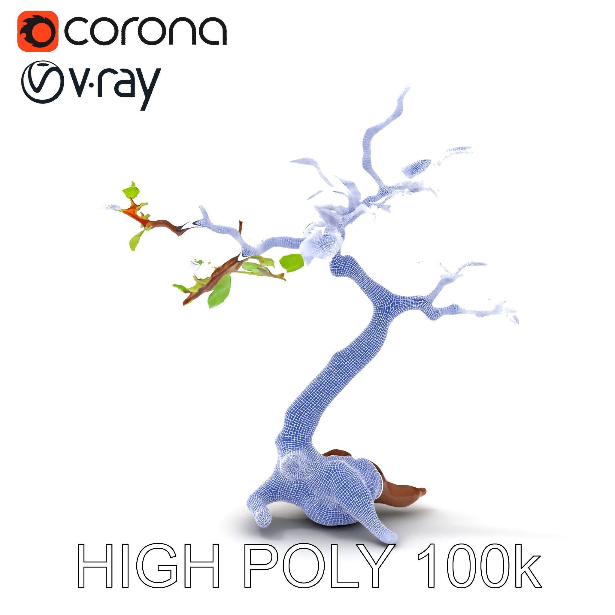 Bonsai Tree Model Pack with PBR Textures for Realistic Rendering Low-poly 3D model_11