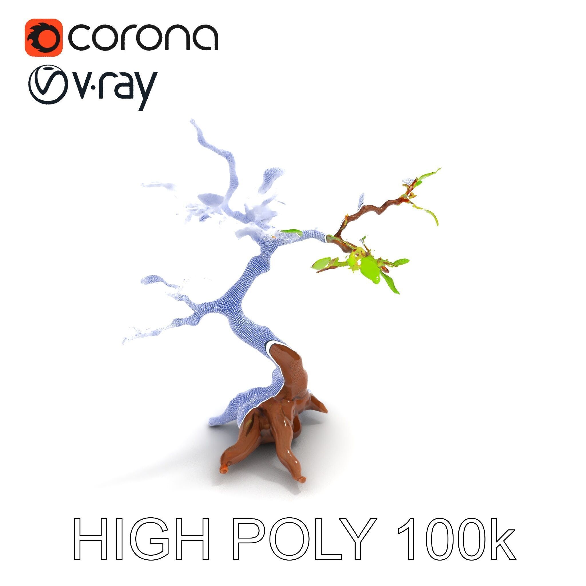 Bonsai Tree Model Pack with PBR Textures for Realistic Rendering Low-poly 3D model_14