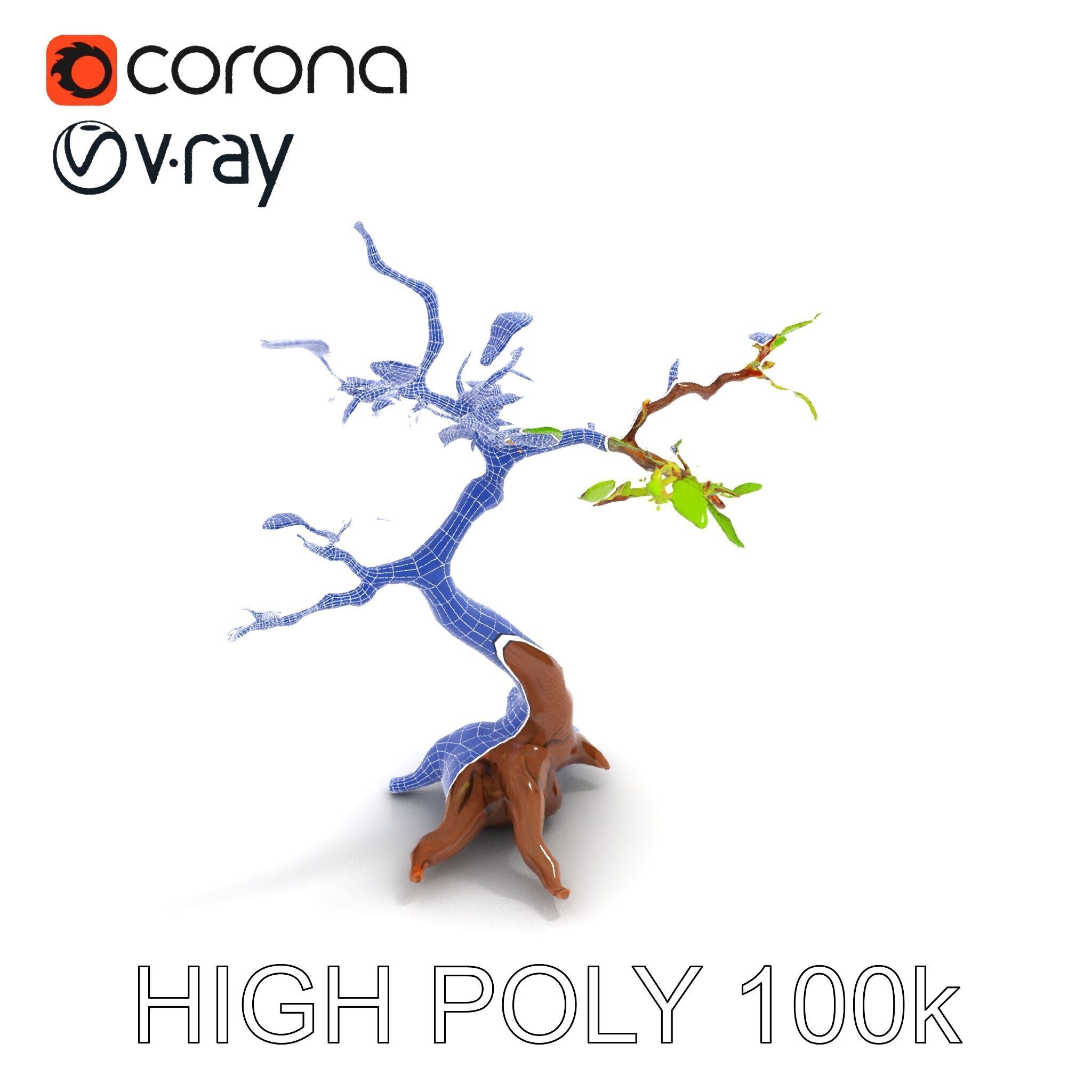 Bonsai Tree Model Pack with PBR Textures for Realistic Rendering Low-poly 3D model_15