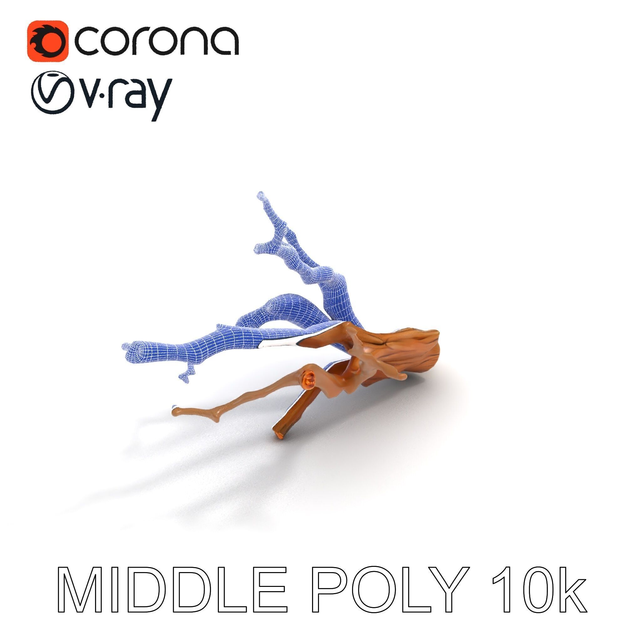 Realistic Tree Branch D Model Pack Low-poly 3D model_19