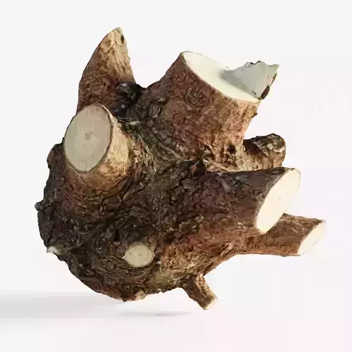 Scanned tree trunk firewood