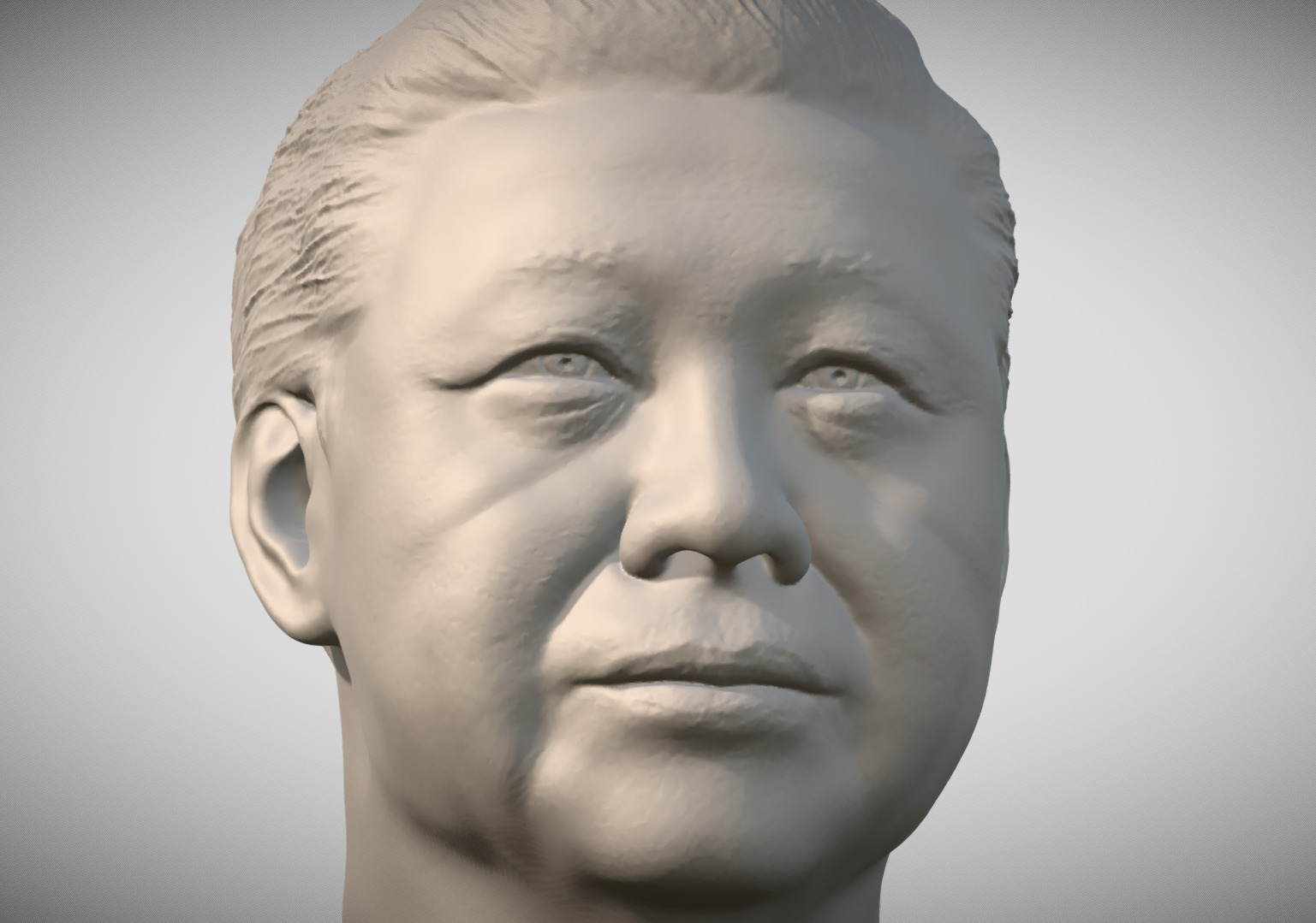 Xi Jinping bust 3D print model_18