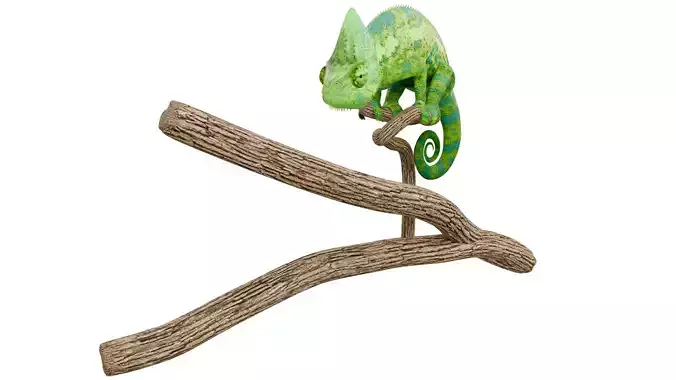 Chameleon 3D model