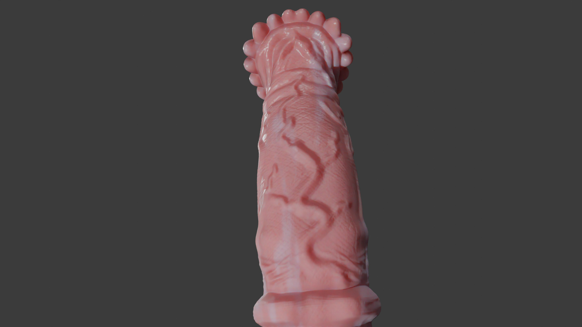 Horse Penis Albino Rigged Low-poly 3D model_11
