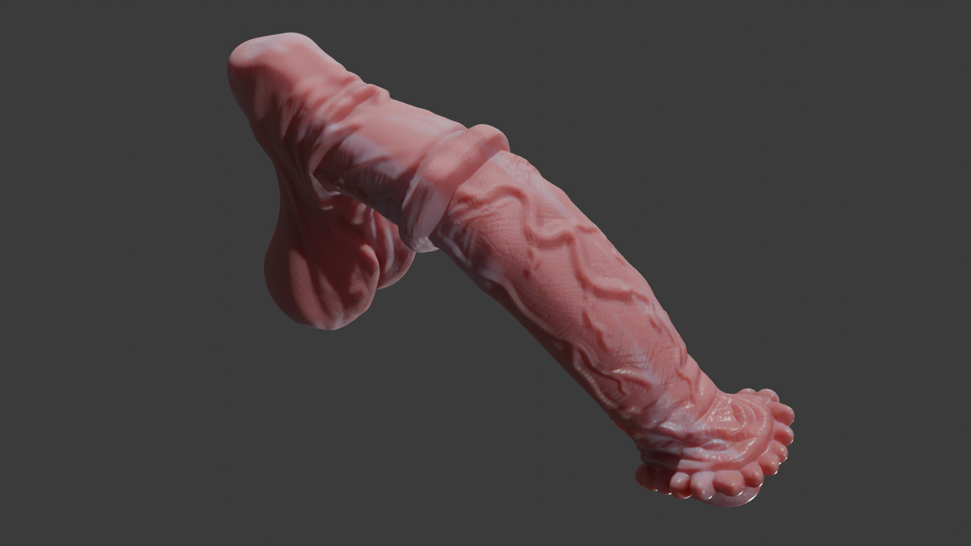 Horse Penis Albino Rigged Low-poly 3D model_9