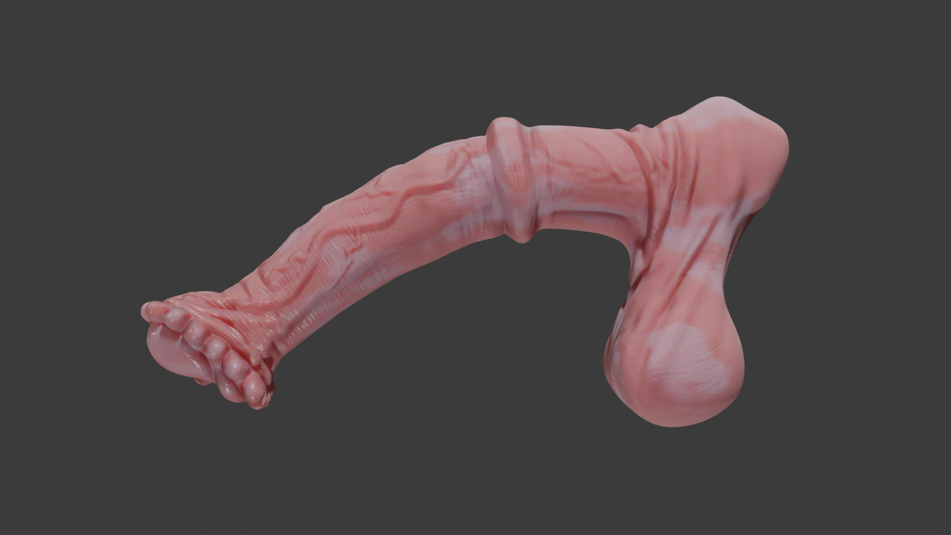 Horse Penis Albino Rigged Low-poly 3D model_5