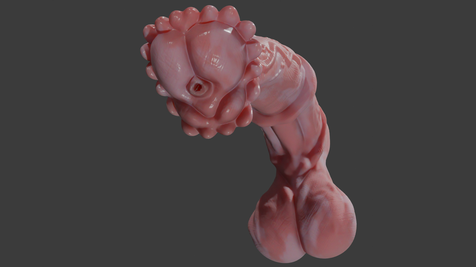 Horse Penis Albino Rigged Low-poly 3D model_7