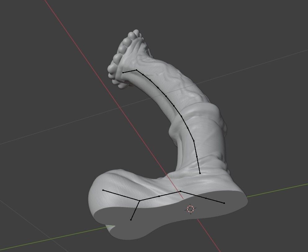 Horse Penis Albino Rigged Low-poly 3D model_4