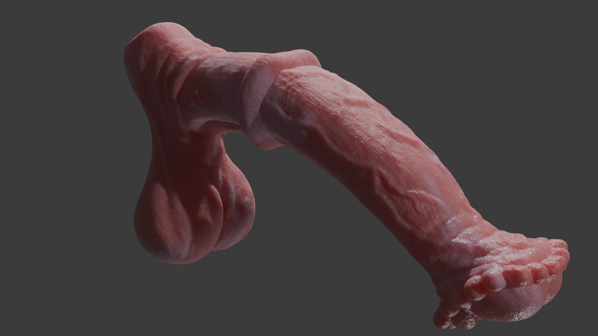 Horse Penis Albino Rigged Low-poly 3D model_6