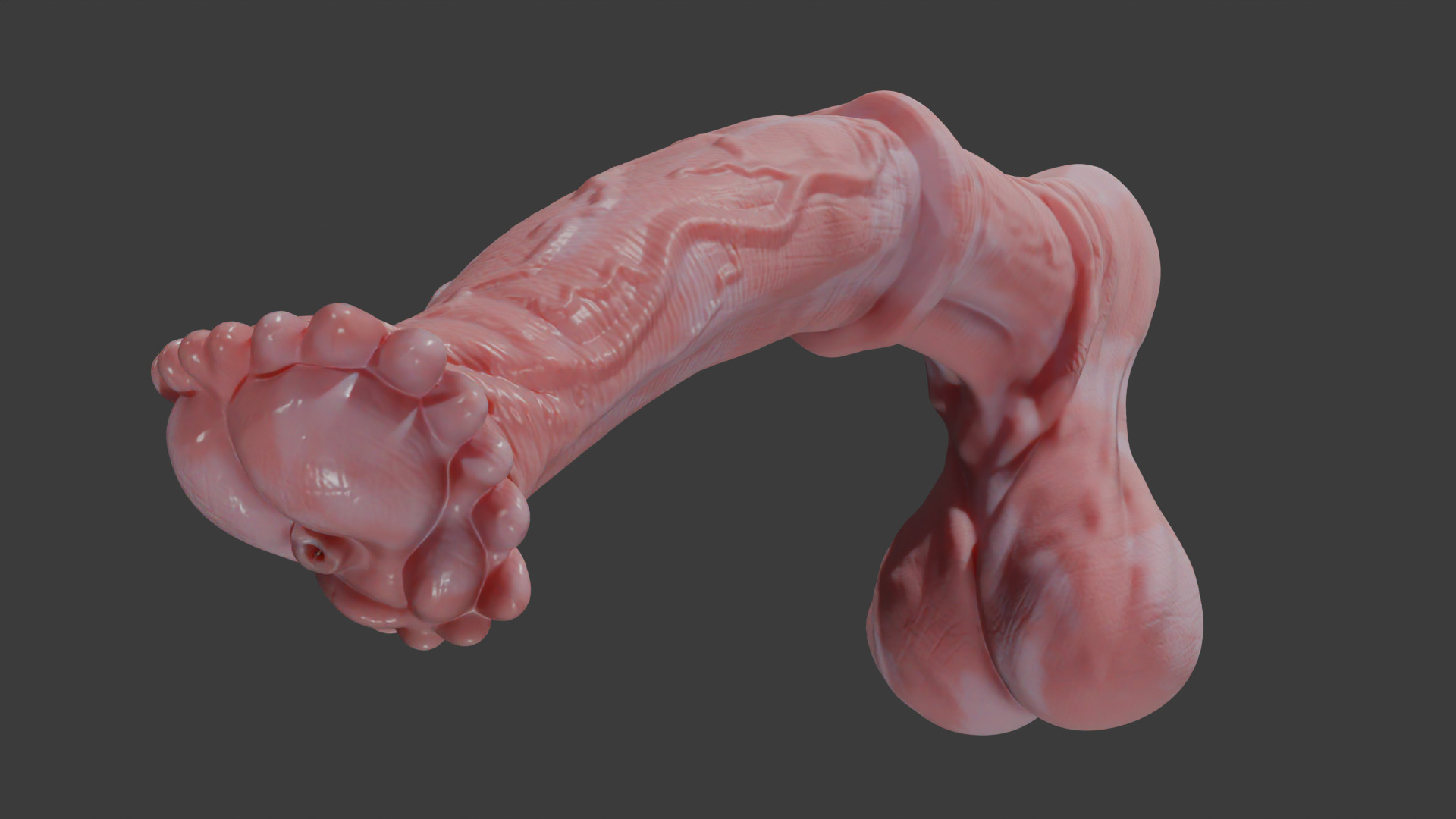 Horse Penis Albino Rigged Low-poly 3D model_2