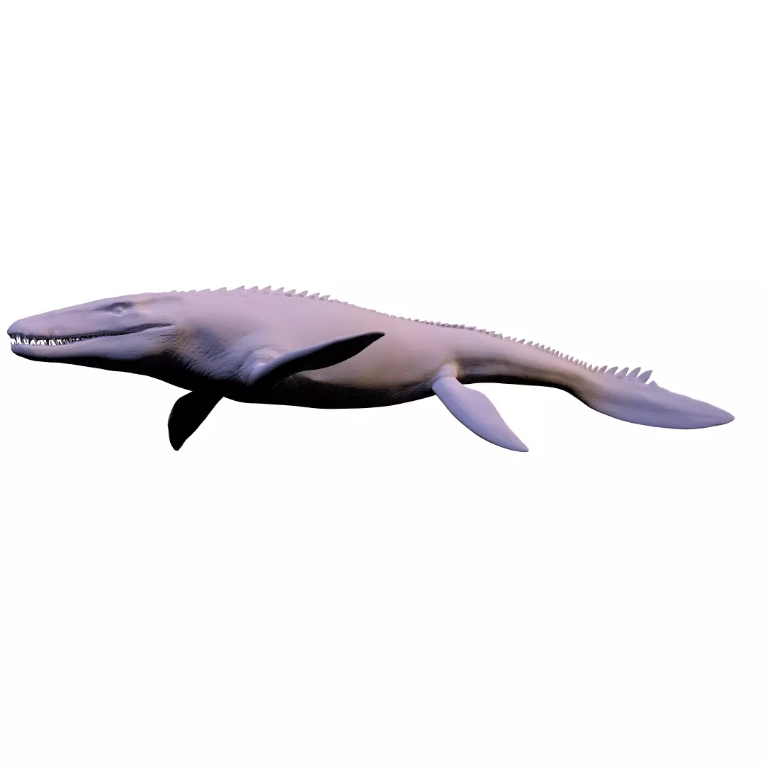 mosasaurus 3D print model