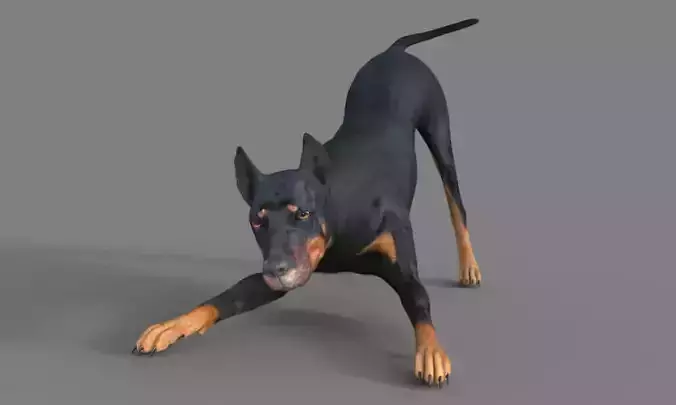 Doberman dog Low-poly 3D model