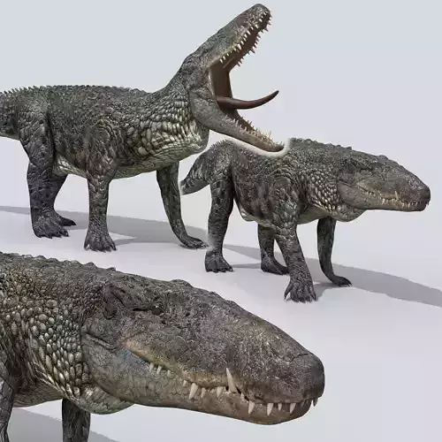 Postosuchus Barinasuchus Fasolasuchus HD - 3d animated Low-poly 3D model