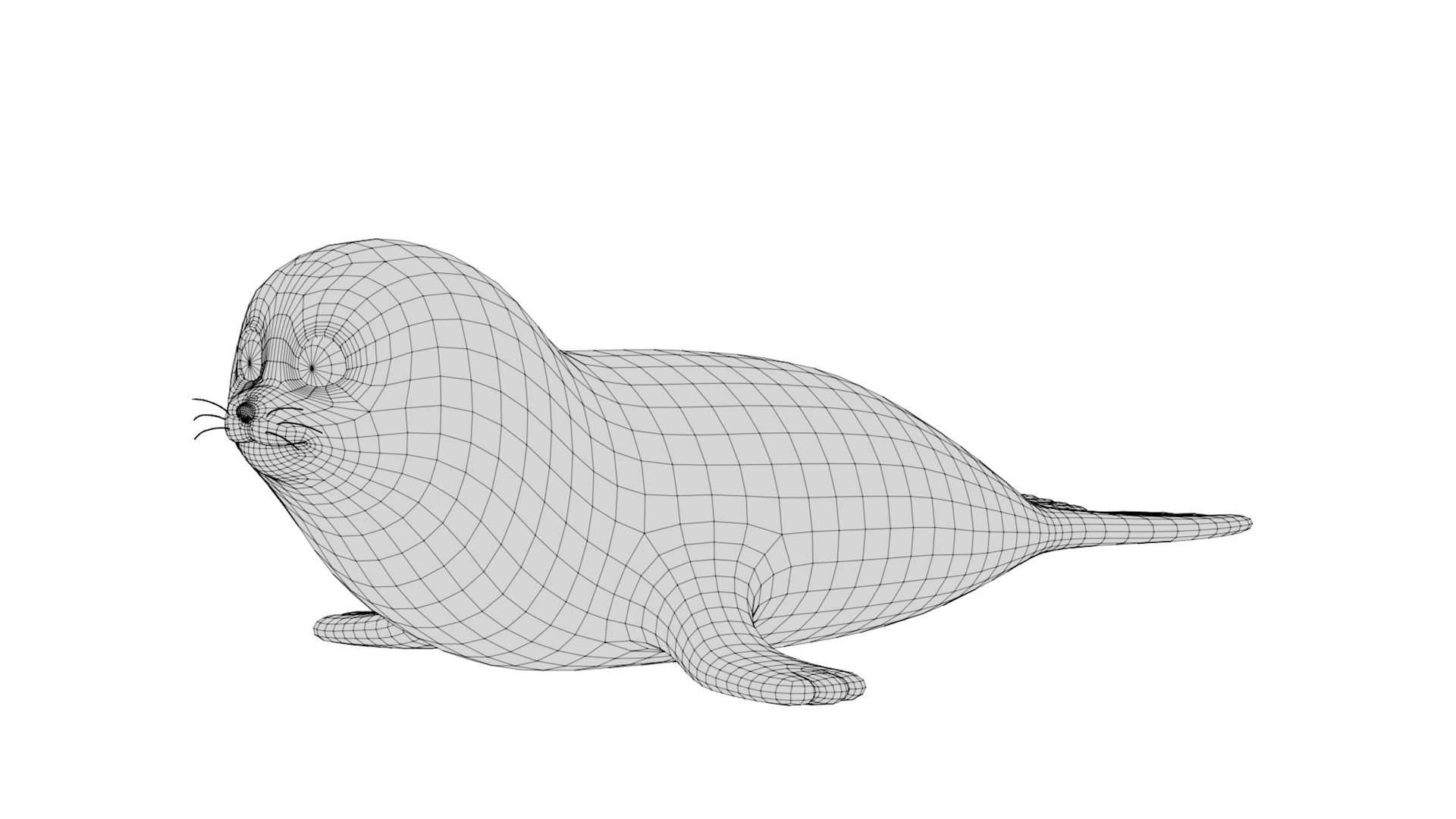 Rigged Cartoon Seal 3D model_7