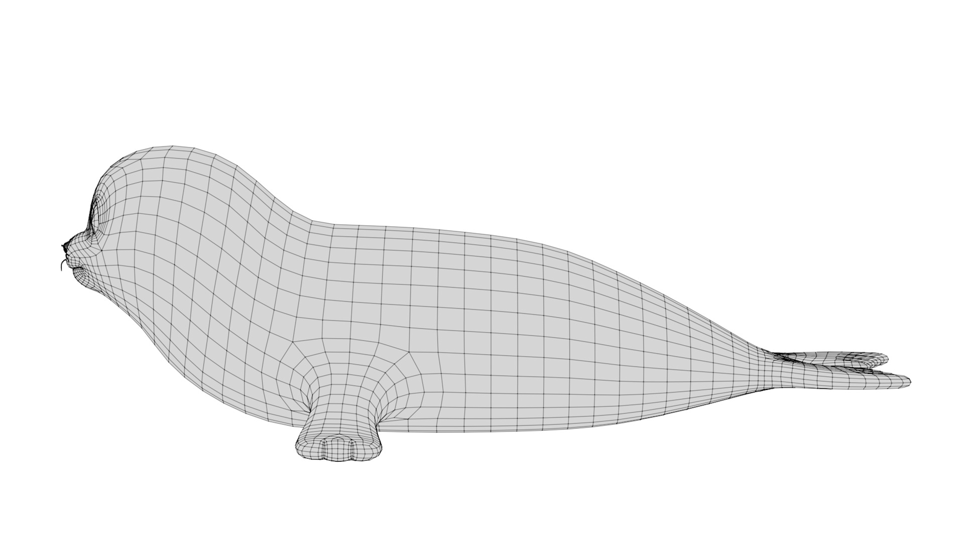 Rigged Cartoon Seal 3D model_8