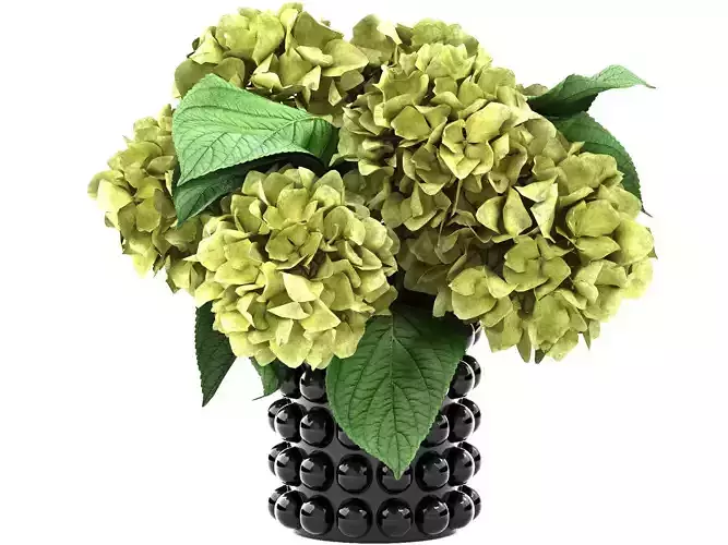 ceramic vase of hydrangea 3D model