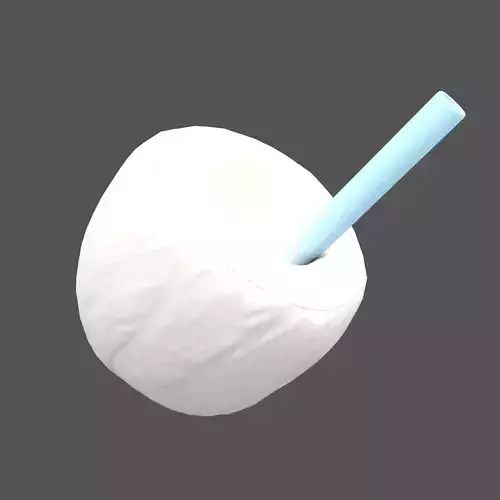 Coconut Drink v1 002